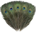 Ballinger 16Pcs Natural Peacock Feathers - 10-12 inch Large Big Peacock Feathers Bulk for DIY Crafting,Christmas,Wedding and Holiday Decorations