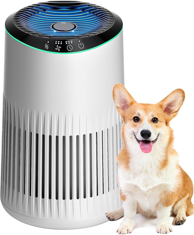 MORENTO Air Purifiers for Home, Air Purifier for Smoke Pet Dander Odors with Fragrance Sponge, Small Air Purifier with Sleep Mode for Bedroom Office, Blue Ambient Light, MR2566, White, 1 Pack+3 Modes