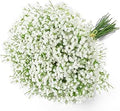 6 Pcs Artificial Baby Breath Gypsophila Flowers Bouquets Real Touch Flowers for Wedding Party DIY Wreath Floral Arrangement Home Decoration (White)