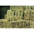 Shorefields Fresh Meadow Hay - Chemical-Free Large Rabbit & Small Animal Bale, 17-22kg, 100x50x40cm