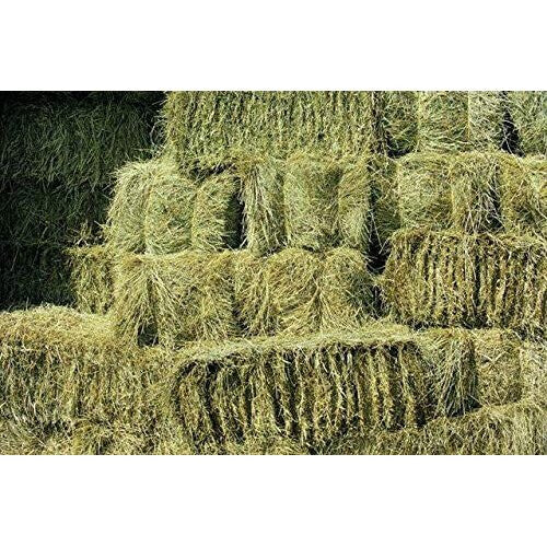 Shorefields Fresh Meadow Hay - Chemical-Free Large Rabbit & Small Animal Bale, 17-22kg, 100x50x40cm