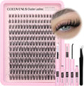 Individual Eyelashes Wispy Lash Clusters Kit D Curl Eyelashes Individual Kit Natural Lash Extension Kit with Russian Cluster Lashes Glue Bond and Seal and Lash Tweezers (D Curl 192pcs)