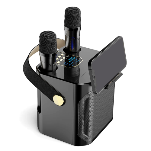 High Power Karaoke Bluetooth Speaker with Dual Microphone Black