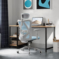 SIHOO M18 Ergonomic Office Chair, Computer Desk Chair with Adjustable Headrest and Lumbar Support, High Back Executive Swivel Chair for Home Office (Morandi Blue)