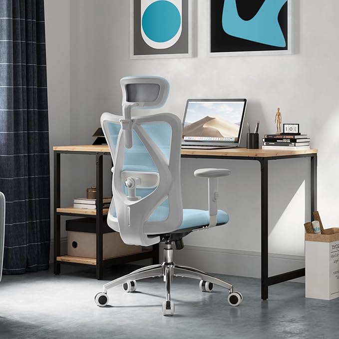 SIHOO M18 Ergonomic Office Chair, Computer Desk Chair with Adjustable Headrest and Lumbar Support, High Back Executive Swivel Chair for Home Office (Morandi Blue)