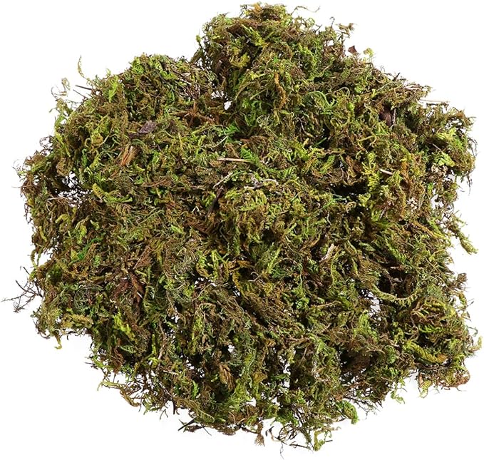WINOMO Artificial Moss Fake Green Moss Decorative Fake Bulk for Plant Garden Lawn Crafts Decoration 60g/pack