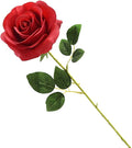 Artificial Silk Rose Artificial Rose Eternal Flowers Single Stem Gift Wrapped Roses for Wedding Bouquets Anniversary Party Hotels Office Decoration (Red)