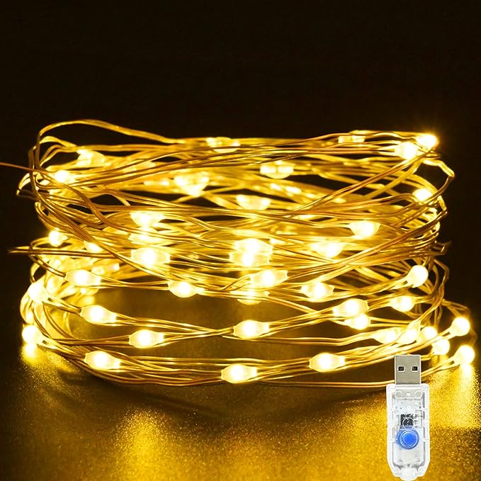USB Fairy Lights 5M/16Ft 50 LED Christmas Fairy Lights 8 Lighting Modes Twinkle Fairy String Lights for Indoor, Outdoor, Bedroom,Party (Warm White)