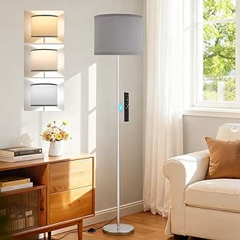 Modern Grey Floor Lamp,Remote Control Dimmable LED Floor Light for Bedroom Kid Office, Silver Pole(9W Bulb Included)