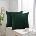 Aspire Homeware Emerald Cushions with Covers Included 45 x 45 cm Pack of 2 (2-Cushion Covers, 2-Inserts) with Invisible Zipper Pattern Cushion for Home Décor, Bedroom & Sofa (18x18 Inchs)