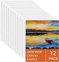 Canvas for Painting 20x25 cm-12 Packs 3 MM Cotton Blank Art Canvases Panels, Pre-Stretched Canvas Board, for Acrylic, Oil Painting Wet Art Media Projects