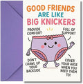 LimaLima Funny Best Friend Birthday Card for Women Friend with Humour Besties Are Like Big Knickers Design