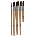 Coral Aspire 5pc Slant Fitch Paint Brush Set