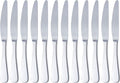 Amazon Basics Stainless Steel Dinner Knives With Round Edge, Pack of 12, Silver