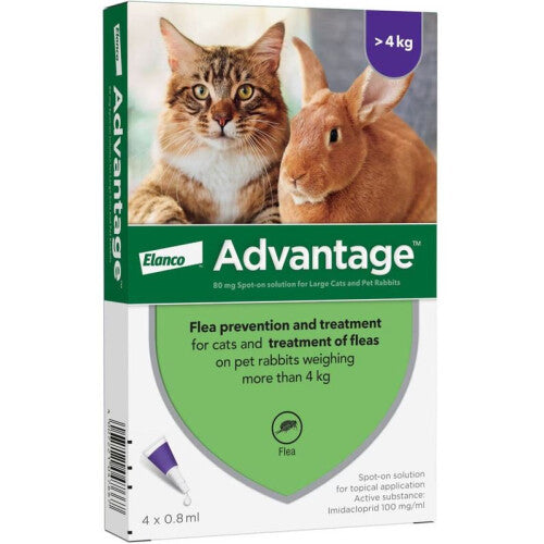 Advantage Spot On Flea Treatment for Large Cats and Rabbits, 4 Pipette