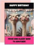 Best Friend Birthday - One Classy Bird Bestie Design - Funny Birthday Card for Women. A5 Size with Pink Envelope. Designed and Printed in the UK