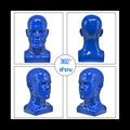 Male Mannequin Head Professional Manikin Head (Blue)