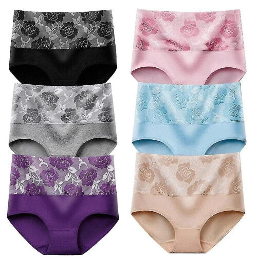 (L, 6Pcs) Everdries Leakproof Underwear For Women Incontinence Leak Proof Protective Pants