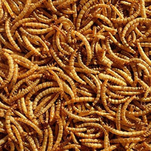 Pet Ting Premium Dried Mealworms, 5 Litre â€“ Protein-Rich Bird Food for Garden Birds and Winter Feeding