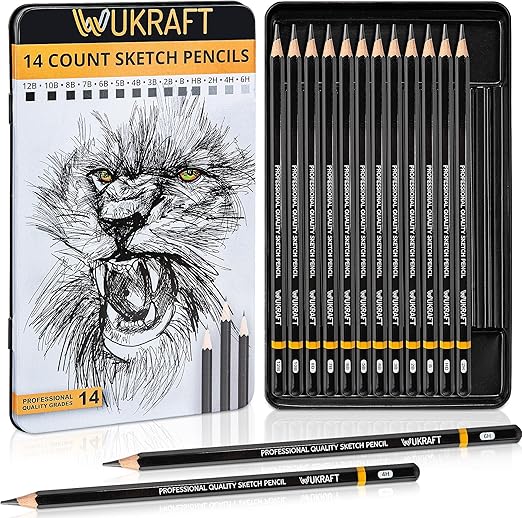Drawing Pencils for Artists 14 Pcs - 12B – 6H Sketching Pencils Set with Metal case for Drafting, Sketching, Shading, Drawing, Illustrations – Ideal for Artists, Students & Beginners of all Age Groups
