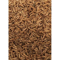Maltbys' Stores 1904 Limited Dried Calciworms 5kg Premium Wild Bird & Hedgehog Food Higher Calcium Than Mealworms