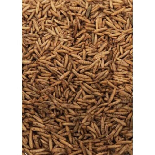 Maltbys' Stores 1904 Limited Dried Calciworms 5kg Premium Wild Bird & Hedgehog Food Higher Calcium Than Mealworms