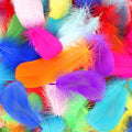600 Pcs Feathers for Crafting Coloured Feathers Natural Craft Feathers 5-12 cm Feathers for DIY Crafts Dream Catcher Earrings Headdress Feather Flowers Wedding Party Holiday Decoration