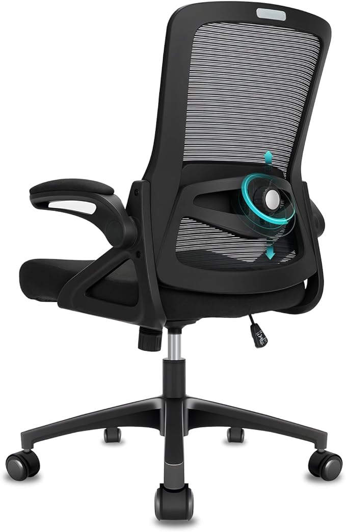 Office Chair Ergonomic Desk Chair, With Adjustable Armrests and Lumbar Support, Height Adjustable, Mesh Computer Chair for Home/Office, Black