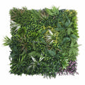 Artificial Green Living Wall Hedge Plant Panel  100x100cm