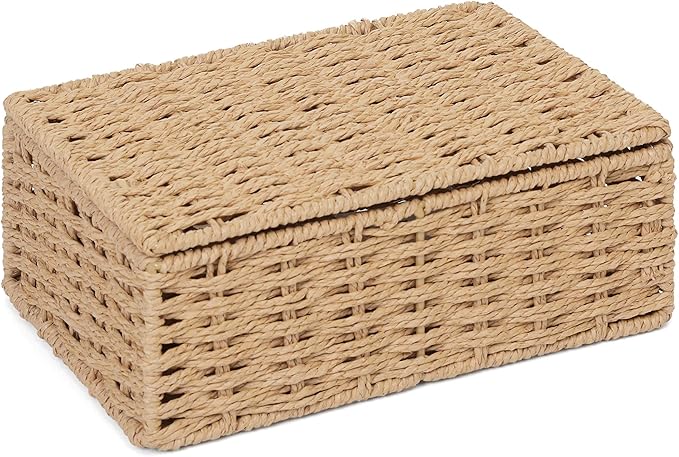 Arpan Natural Paper Rope Storage Basket Box With Lid (Small)