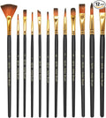 elzle Acrylic Paint Brushes,12 Paint Brush Set,Nylon Art Brushes,Fine Paint Pen with Smooth Tip,Wooden Pen Body Suitable for Acrylic, Watercolour, Oil and Gouache Paintings (Black)