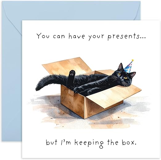 Funny Birthday Card – Black Cat in a Box with Party Hat – Gifts for Him, Her, Mum, Dad, Brother, Sister, Son, Daughter, Cat Lovers, Cute Jokes – Comes with Stickers