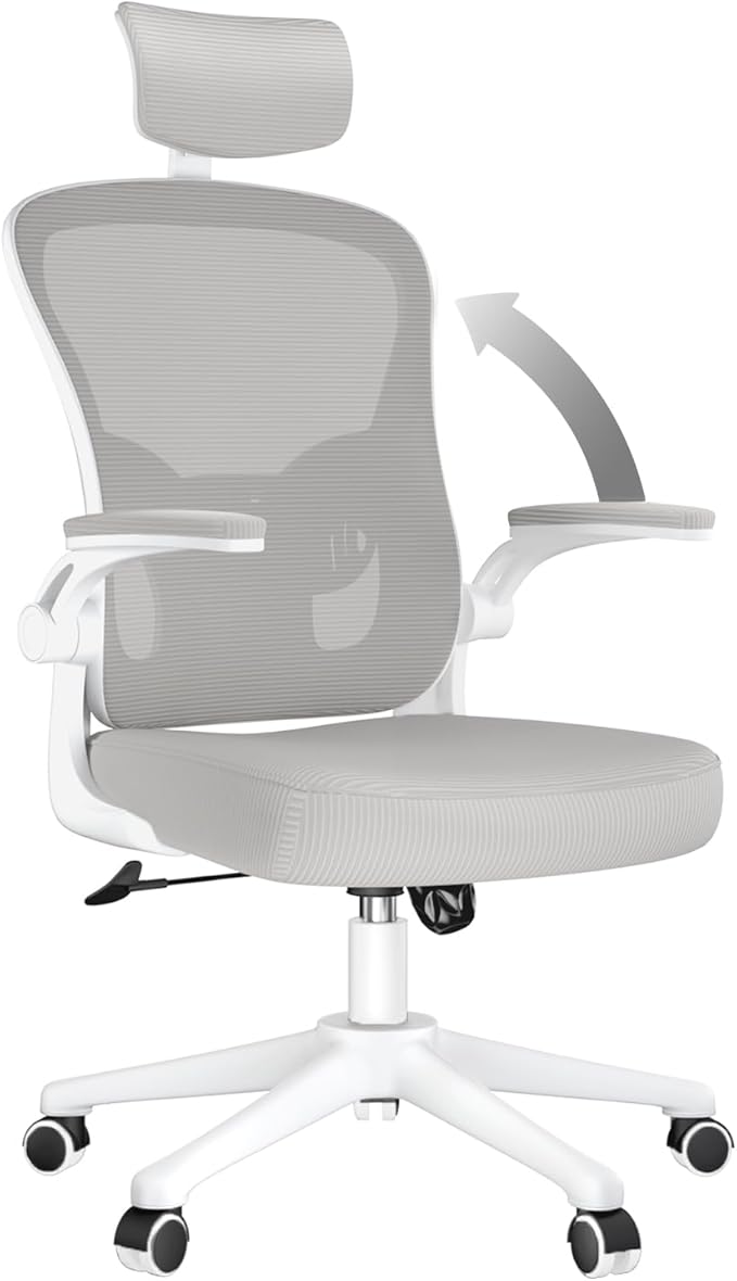 naspaluro Office Desk Chair with Flip-Up Armrest High Back Ergonomic Computer Chair with Adjustable Headrest and Lumbar Support Executive Swivel Chair for Home and Office - Gray