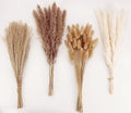 Dried Pampas Grass Decoration, 100 Pieces of Pampas Grass with Bunny Tails Dried Flowers, Reed Grass Bouquet for Wedding Boho Flowers and Home Table Decoration, Rustic Farmhouse Party