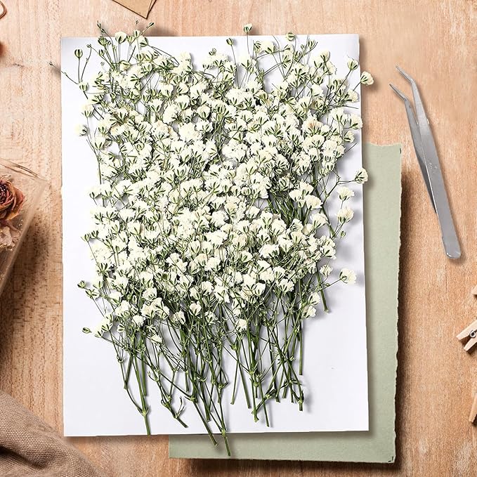 130Pcs Dried Pressed Baby's Breath Flowers, Real Nature Dried Mini White Gypsophila Flowers for Resin Art Craft DIY Making Wedding Card Home Party Decor