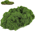 SUHAI Dark Green Artificial Moss Decorative,Artificial Fake Green Lichen Plants,Fake Moss ArtMoss Decoration for Home, Garden,Landscaping, Floristry,Model Making,Arts and Crafts(50g)