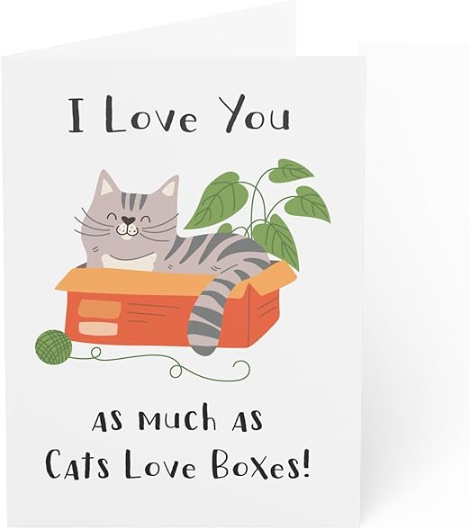 Valentine's Day Greeting Card - I Love You Card - Fun Cat and Box Design - 6 x 8 Inch - Made in UK - Includes Envelope