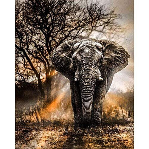 5D Diamond Paint Kits Full Drill Elephant Crystal Rhinestone Diamond Embroidery Art Pictures DIY Arts Craft Supply for Adults Kids Home Wall Decor
