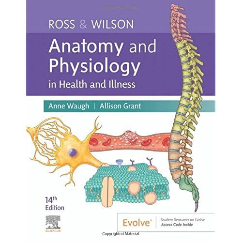 Ross & Wilson Anatomy and Physiology in Health and Illn - Waugh, Anne - Paperback / sof -01/07/2022