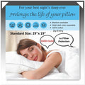Luxury Pack of 4 Pillow Protectors 100% Cotton Hypoallergenic Dust- mite, Zipped Entry, White Colour, Size 74 x 48cm.