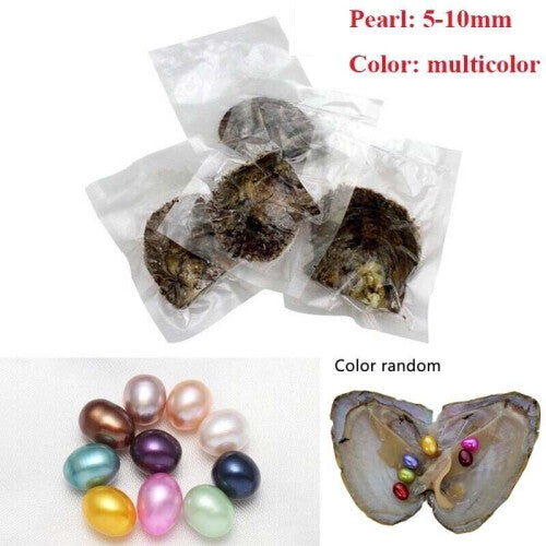 Natural Oyster Pearl 6PCs/Lot Monster Oysters with Pearls Inside Bulk