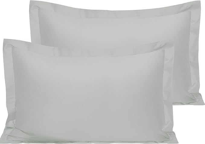 NTBAY 2 Pack 500 Thread Count 100% Egyptian Cotton Oxford Pillowcases, Super Soft and Breathable Euro Standard Pillow Cases | Hotel Quality Pillow Shams, 50x75 cm, Light Grey