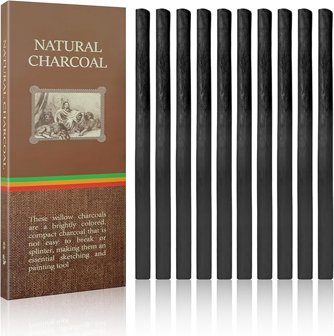 10PCS Charcoal Sticks, 3-5mm Black Willow Charcoal, Drawing Tools Charcoal Pencils for Artists Students and Hobbyists
