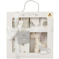 Bundle Bear Newborn Baby Essentials 4 Piece Luxury Boxed Baby Gift Set