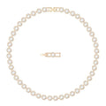 Swarovski Woman Necklace ref. 5367845
