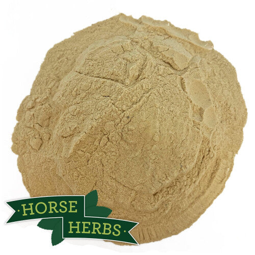 Horse Herbs Brewers Yeast 5kg - Horse or Pony Feed Supplement, Equine
