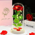 DEEMEI Valentines Gifts for Her Valentine's Day Eternal Rose Flower Birthday Gifts for Women Mum Wife Girlfriend Galaxy Crystal Rose Light Up Flower In Glass Dome for Valentines Anniversary