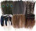 Holmgren 48pcs Natural Feathers Bulk - 6 Styles Assorted Peacock, Pheasant, Turkey Feathers for Craft DIY Jewelry Hat Wedding Home Party Decoration