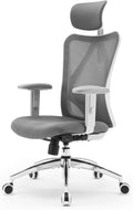 SIHOO M18 Ergonomic Office Chair, Computer Desk Chair with Adjustable Headrest and Lumbar Support, High Back Executive Swivel Chair for Home Office (Grey)