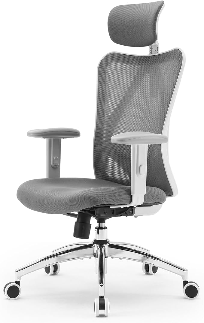 SIHOO M18 Ergonomic Office Chair, Computer Desk Chair with Adjustable Headrest and Lumbar Support, High Back Executive Swivel Chair for Home Office (Grey)